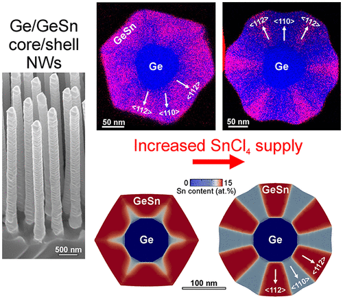 Modelling of NanoWires morphologies and composition